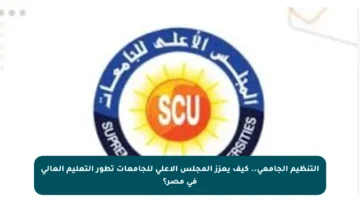 التنظيم الجامعي.. كيف يعزز المجلس الأعلى للجامعات تطور التعليم العالي في مصر؟